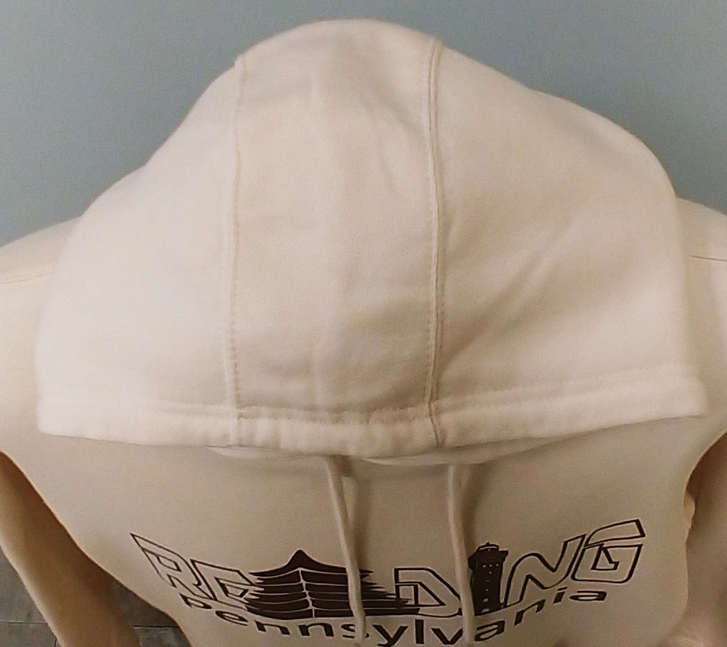 Reading Pennsylvania Hoodie Caramel