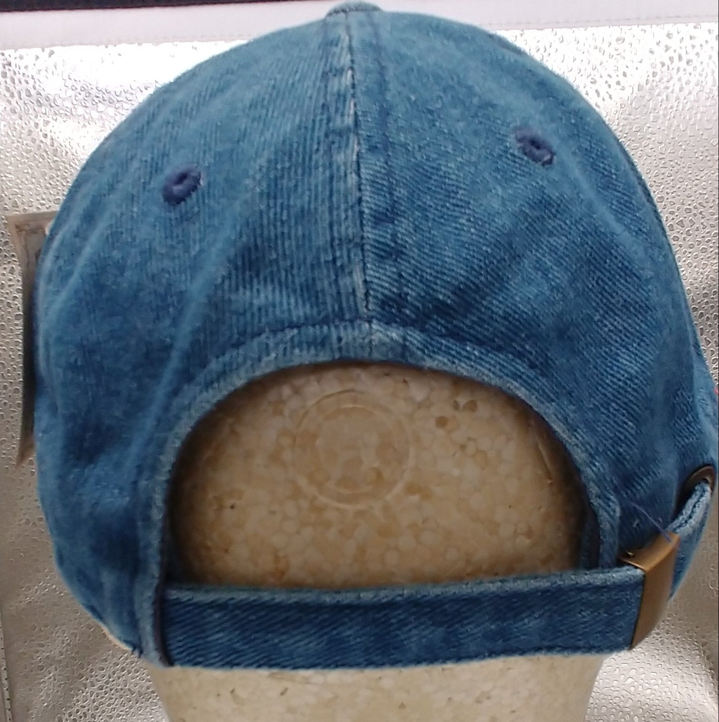 Reading Distressed Cap Medium Wash