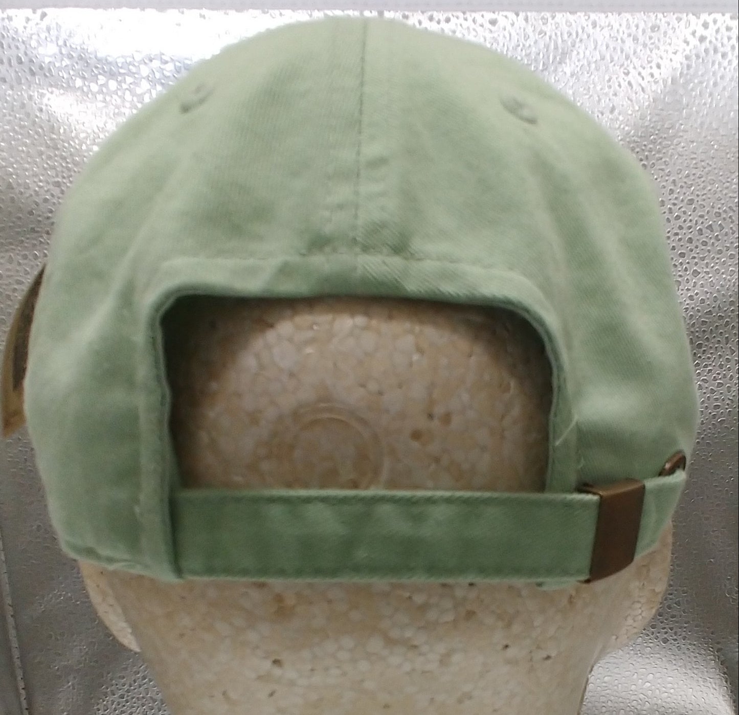 Reading Distressed Cap Light Green