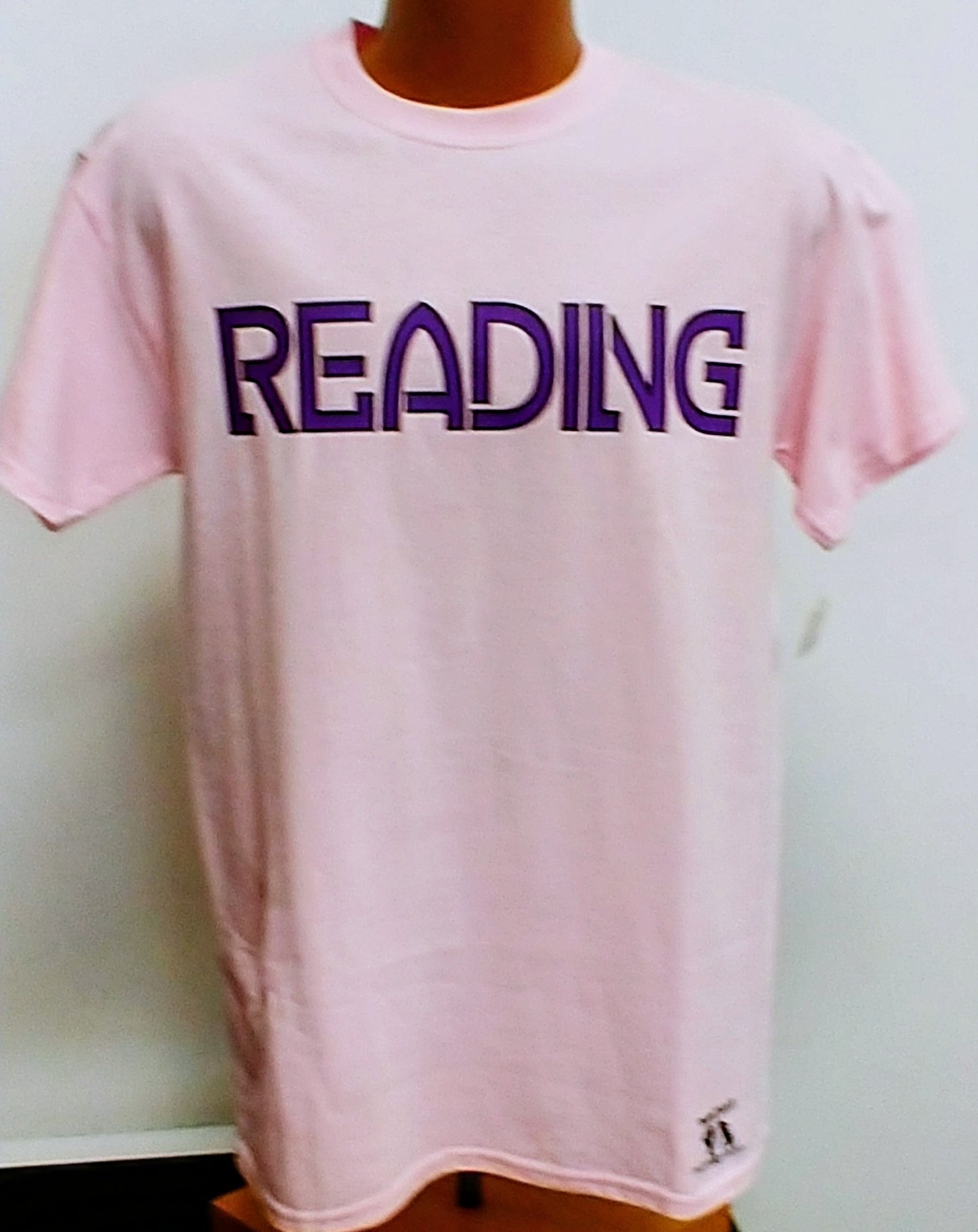 Reading Pennsylvania T-Shirt in Pink