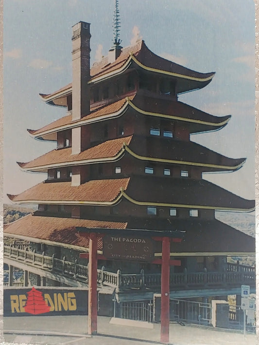 Reading Pagoda Metal Print